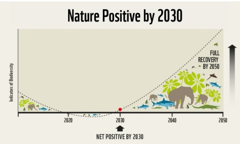 A Global Goal for Nature - Nature Positive by 2030