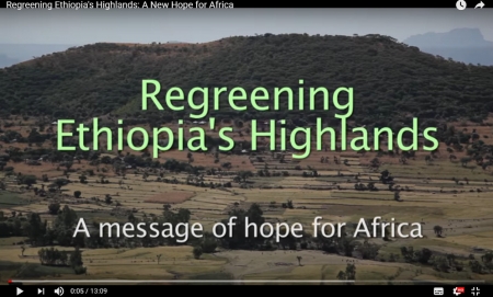 Re-greening Ethiopia&#039;s Highlands: A New Hope for Africa