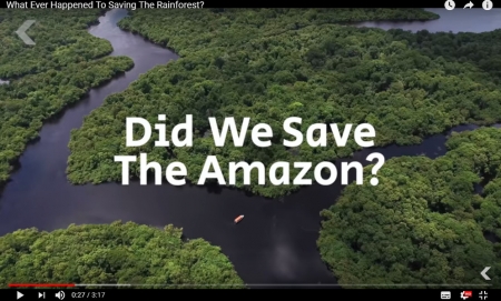 What Ever Happened To Saving The Rainforest?