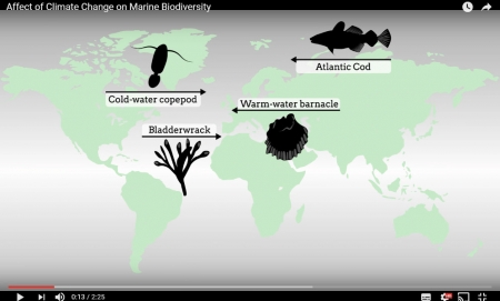 Affect of Climate Change on Marine Biodiversity